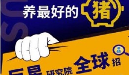 爆料网每日精选最新消息 娱乐圈pop1,Pop1最新动态，揭秘明星幕后故事