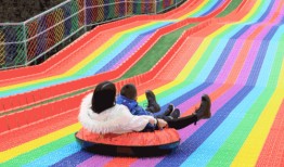 体育圈饭圈 网红大秋千,网红大秋千的崛起之路